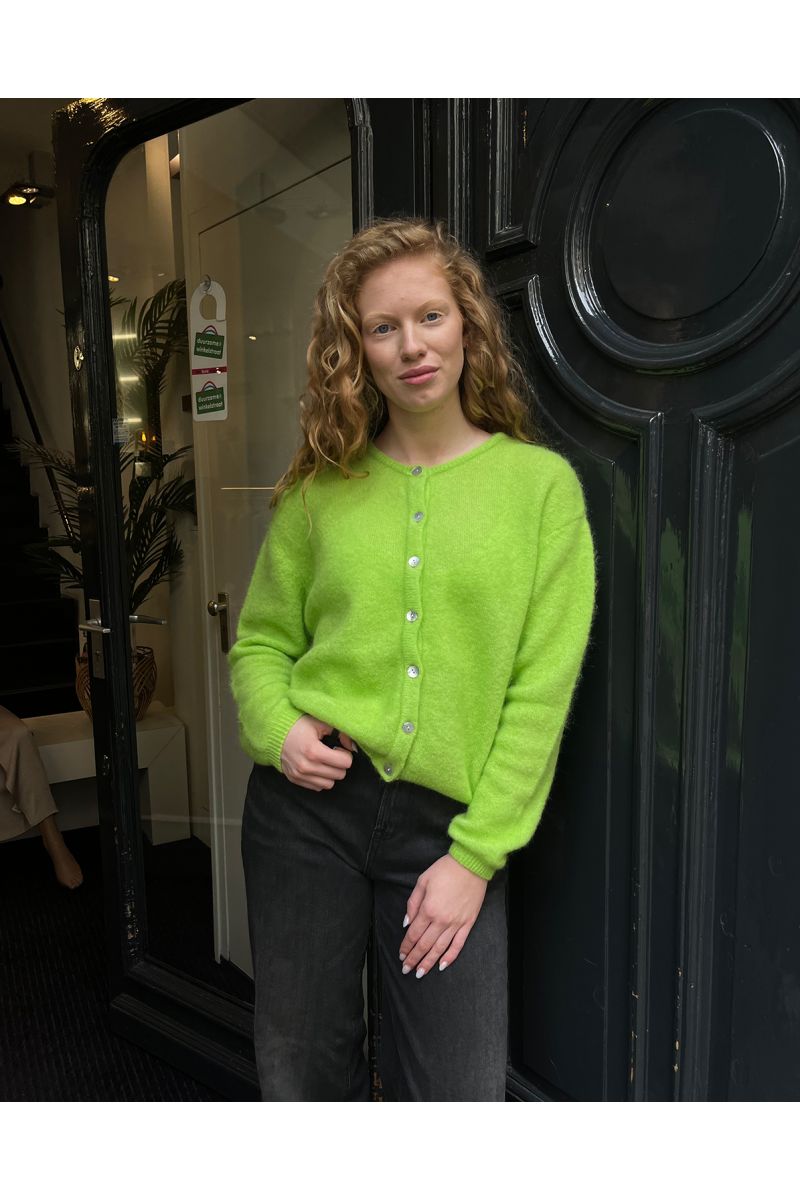 American vintage cardigan pistache groen